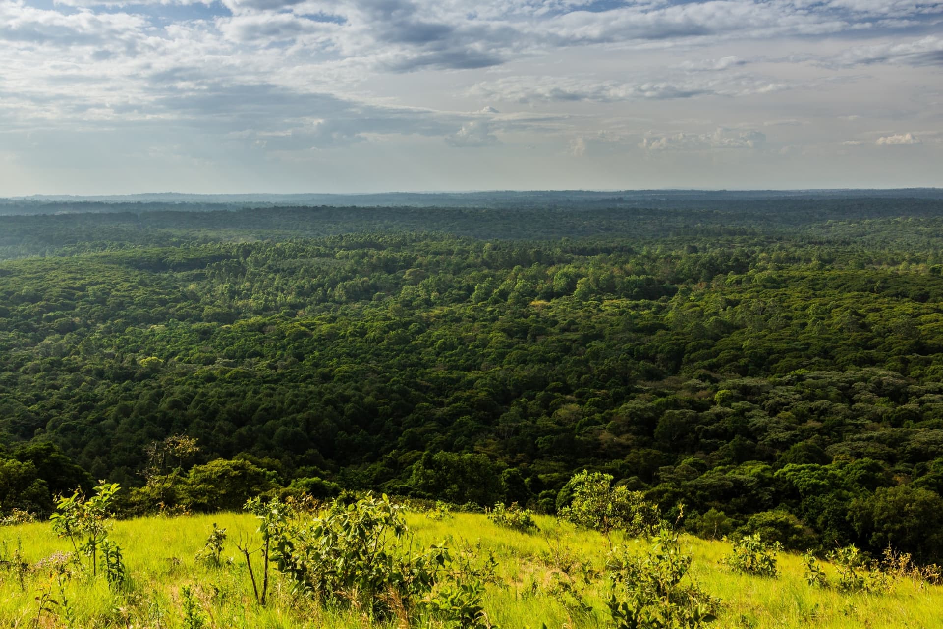Réserve nationale de la forêt de Kakamega