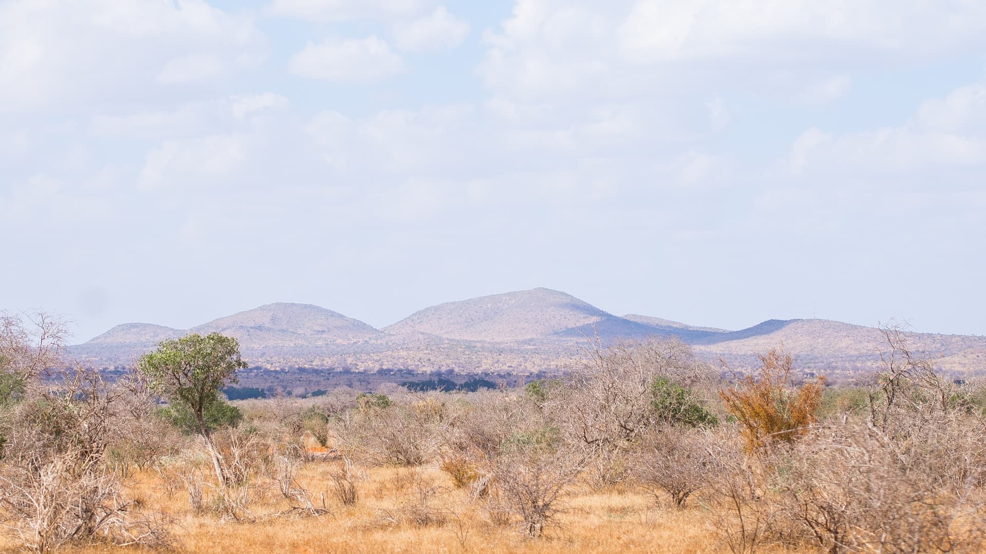 Parc national Chyulu Hills