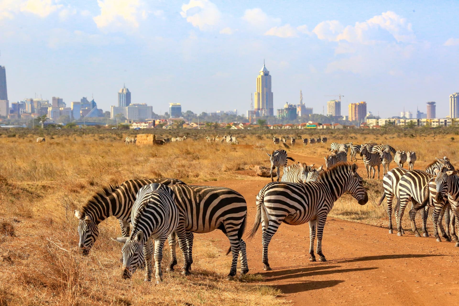 Parc national de Nairobi