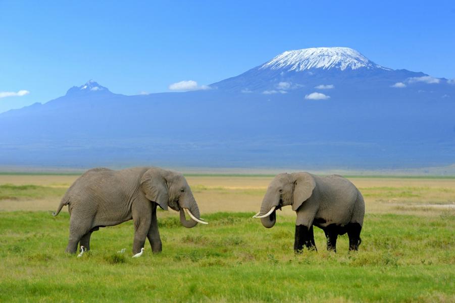 Le patrimoine mondial de l’Unesco en Tanzanie