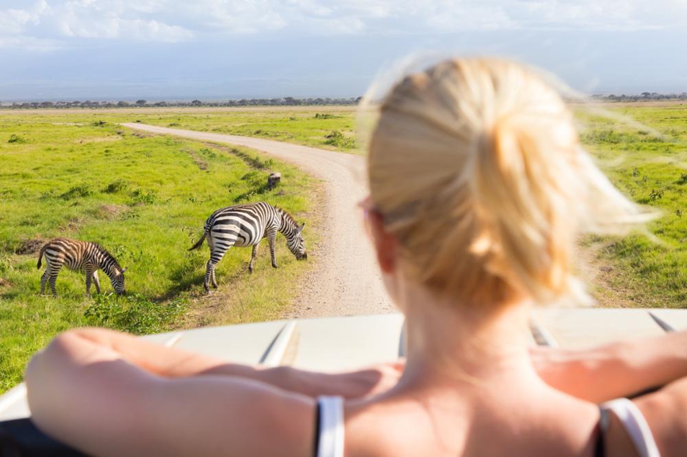 Quand partir pour un safari en Tanzanie ?