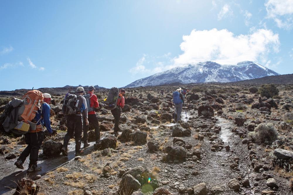 Les monts Kenya et Kilimandjaro : quel sommet choisir pour un trek en haute altitude ?