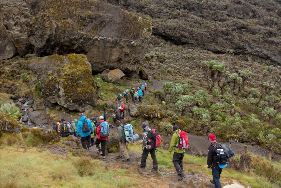 Ascension du Kilimandjaro : les principales routes à emprunter