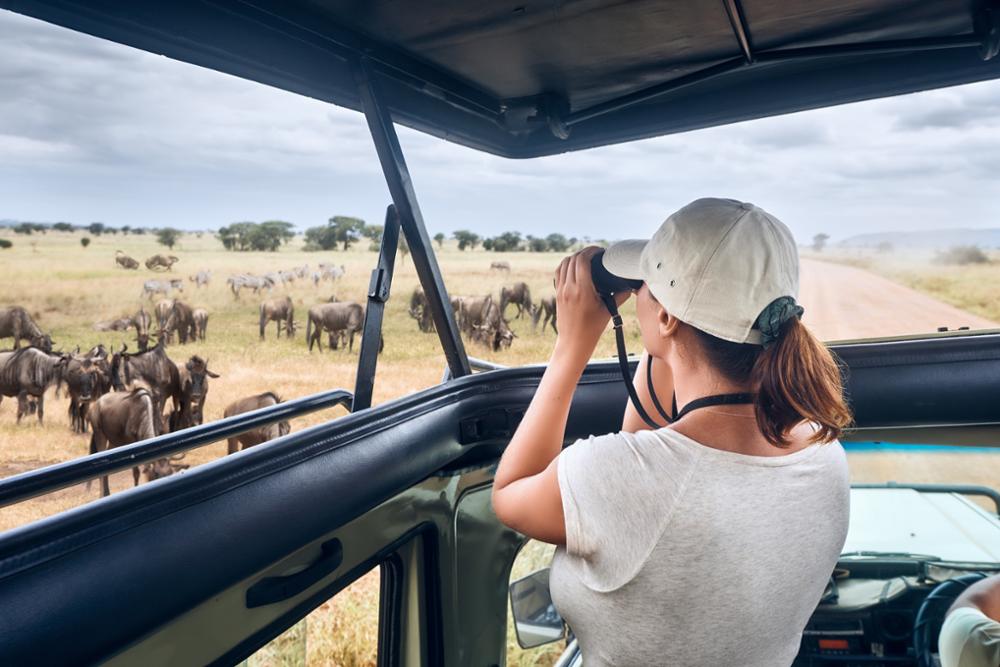 Quel safari choisir entre Serengeti et Tarangire ?