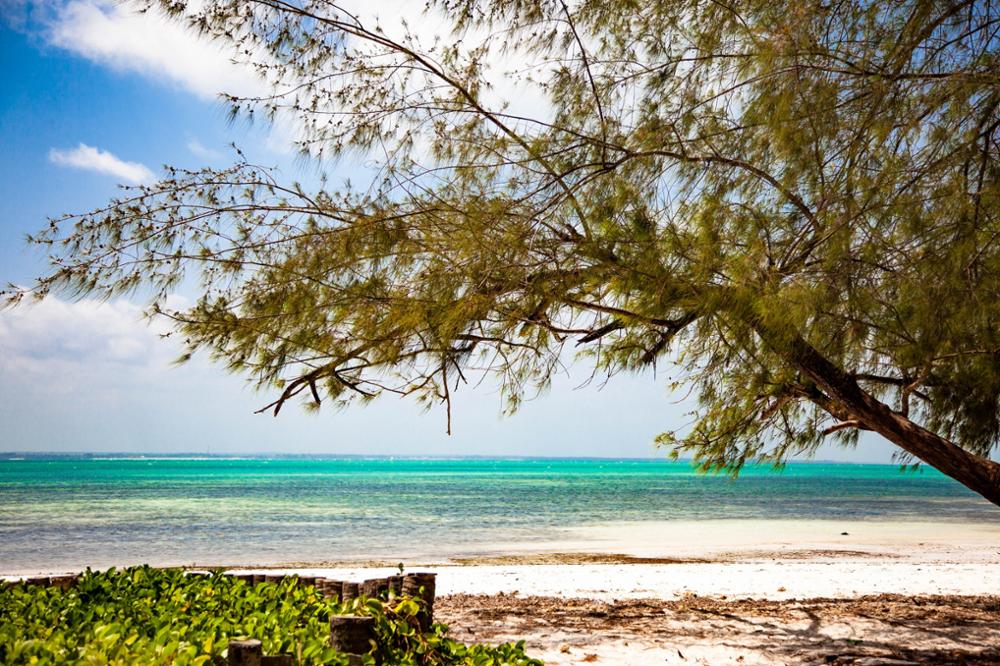 Les plus belles plages de Zanzibar