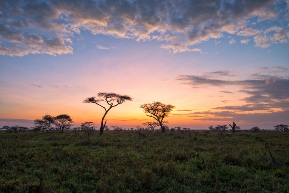 Quelle est la meilleure période pour partir en Tanzanie ?