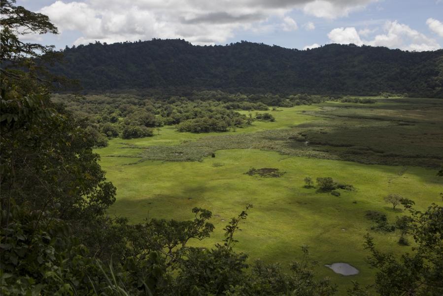 Animaux sauvages d'Afrique : découvrez les Big 5 lors d'un safari en Tanzanie !