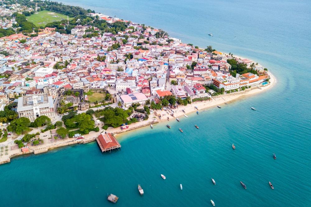 Excursion pour voir les dauphins à Zanzibar : une expérience inoubliable !