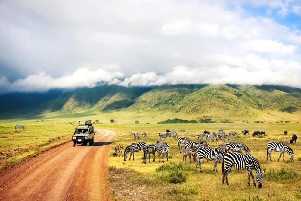 Voyage en Tanzanie et Zanzibar : notre itinéraire idéal pour combiner safaris et plages 