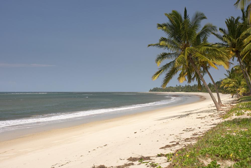 Se baigner en Tanzanie : top 15 des plus belles plages et îles du pays !
